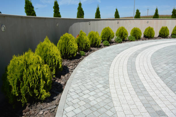 Reasons to Select Us for Your Driveway Paving Requirements in Linden, NJ